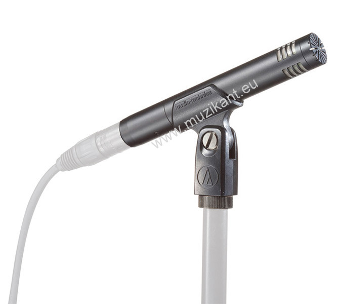 Audio-Technica AT2031 Cardioid Condenser Microphone