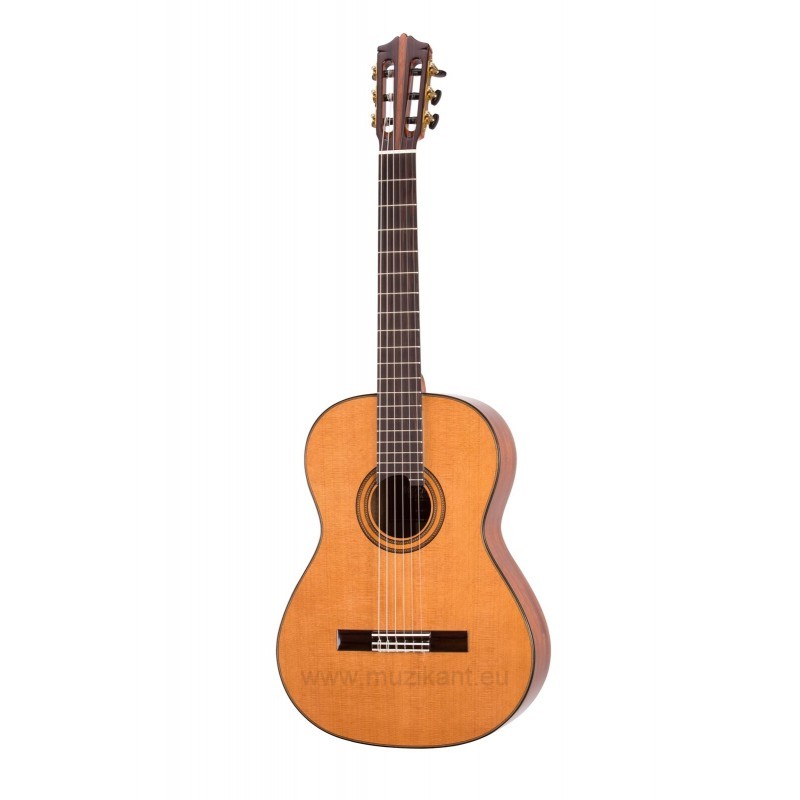 Martinez MCG-118 C - Klasická gitara, All solid 